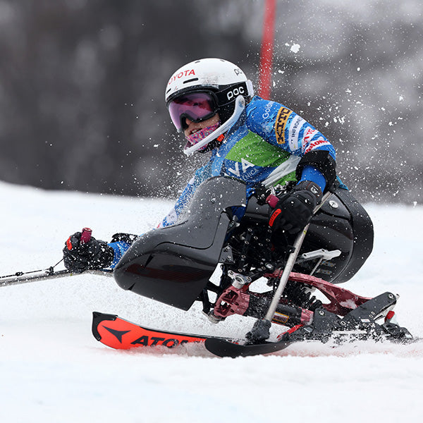 JAPAN Para-Ski Federation