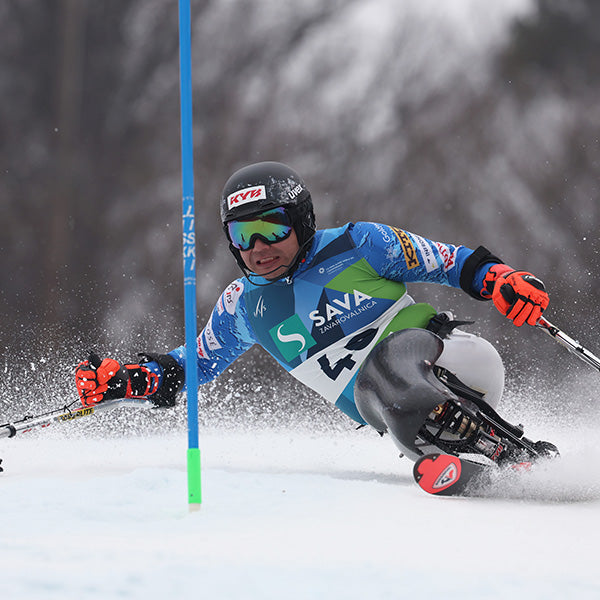 JAPAN Para-Ski Federation